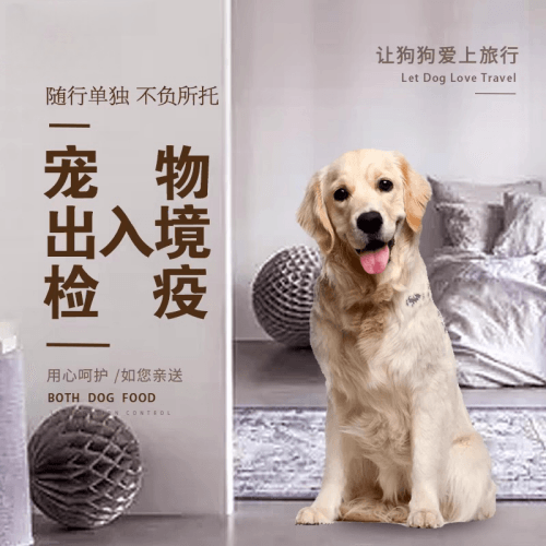 宝坻区宠物托运到哥伦比亚猫狗宠物入境规定和
