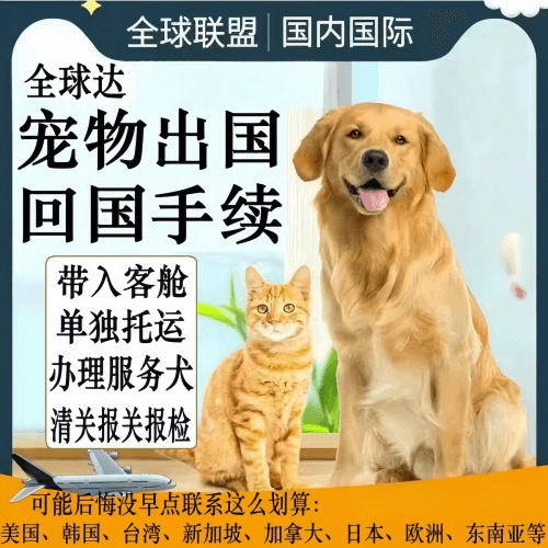 宝坻区宠物托运到柬埔寨宠物入境规定和要求